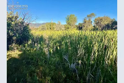 505 Struthers Loop, Colorado Springs, CO 80921 - Photo 7