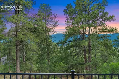 1675 Oakwood Drive, Monument, CO 80132 - Photo 43
