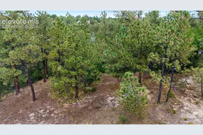 5831 Spurwood Court, Colorado Springs, CO 80918 - Photo 5