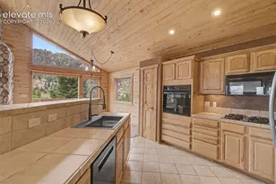 455 Lost Cyn Hts, Florissant, CO 80816 - Photo 19