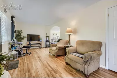 1133 Livingston Avenue, Colorado Springs, CO 80906 - Photo 11