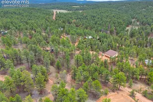 64 Bradshaw Rd, Florissant, CO 80816 - Photo 21