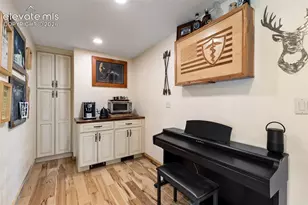 105 Piney Point Ln, Woodland Park, CO 80863 - Photo 21