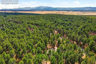 20175 Wissler Ranch Rd, Colorado Springs, CO 80908 - Photo 9