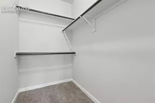 15892 Lake Mist Dr, Monument, CO 80132 - Photo 19