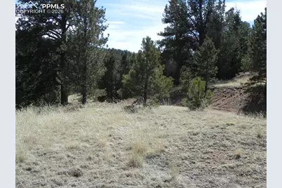 1087 Monarch Drive, Cripple Creek, CO 80813 - Photo 5