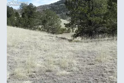 1087 Monarch Drive, Cripple Creek, CO 80813 - Photo 9