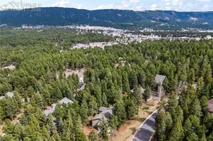 1308 Spruce Ridge Ln, Woodland Park, CO 80863 - Photo 49