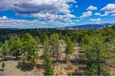 487 Pike View Lane, Florissant, CO 80816 - Photo 27