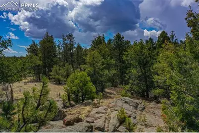 487 Pike View Lane, Florissant, CO 80816 - Photo 33