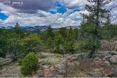 487 Pike View Lane, Florissant, CO 80816 - Photo 9