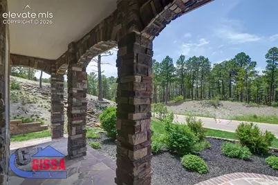 1043 Longspur Lane, Colorado Springs, CO 80921 - Photo 5