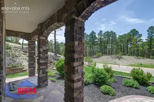 1043 Longspur Ln, Colorado Springs, CO 80921 - Photo 5
