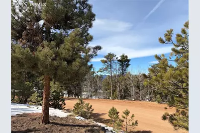 530 Columbine Road, Florissant, CO 80816 - Photo 3