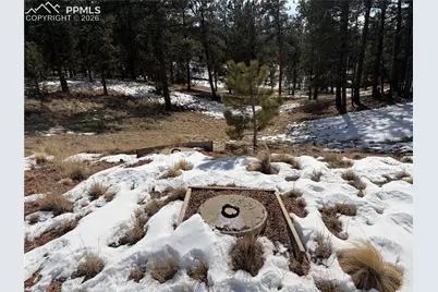 530 Columbine Road, Florissant, CO 80816 - Photo 7