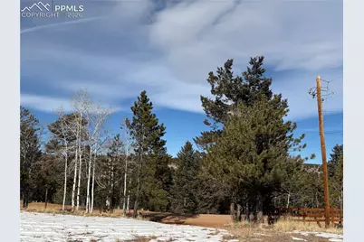 530 Columbine Road, Florissant, CO 80816 - Photo 9