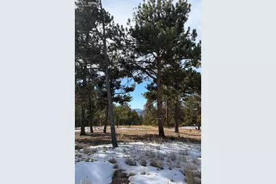530 Columbine Road, Florissant, CO 80816 - Photo 11