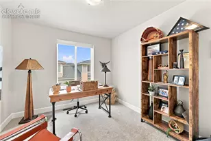 6381 Moor Grass Hts, Colorado Springs, CO 80924 - Photo 19