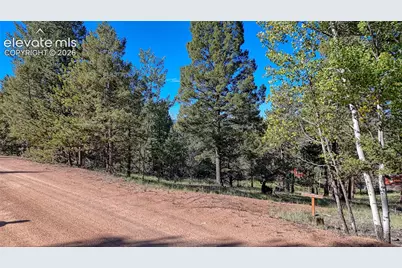 91 Utah Way, Florissant, CO 80816 - Photo 11
