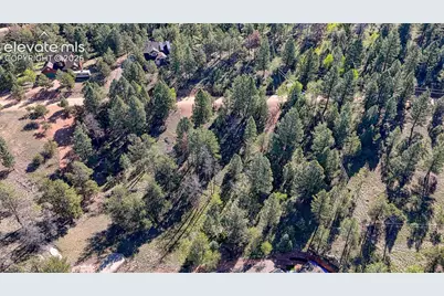 91 Utah Way, Florissant, CO 80816 - Photo 3