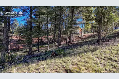 91 Utah Way, Florissant, CO 80816 - Photo 15