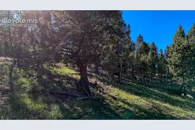 91 Utah Way, Florissant, CO 80816 - Photo 13