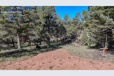 91 Utah Way, Florissant, CO 80816 - Photo 1