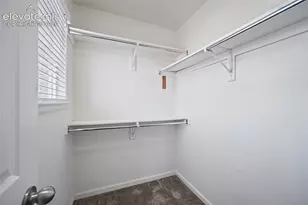 6585 Baytree Grove, Colorado Springs, CO 80923 - Photo 25