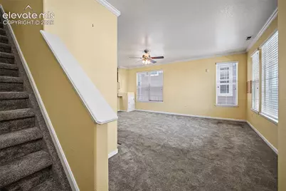 6585 Baytree Grove, Colorado Springs, CO 80923 - Photo 7
