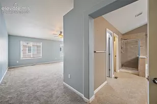 6585 Baytree Grove, Colorado Springs, CO 80923 - Photo 27
