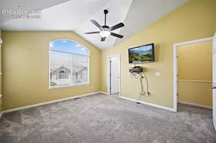 6585 Baytree Grove, Colorado Springs, CO 80923 - Photo 23
