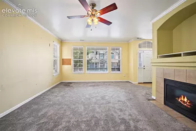 6585 Baytree Grove, Colorado Springs, CO 80923 - Photo 11