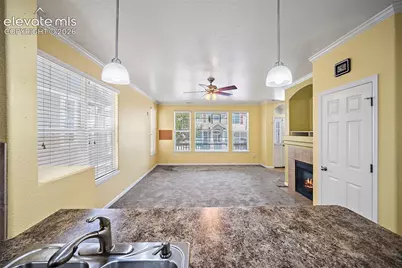 6585 Baytree Grove, Colorado Springs, CO 80923 - Photo 19