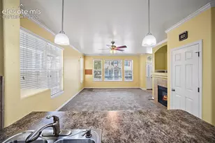 6585 Baytree Grove, Colorado Springs, CO 80923 - Photo 19