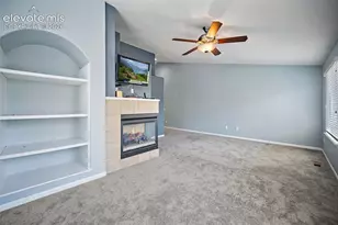 6585 Baytree Grove, Colorado Springs, CO 80923 - Photo 33