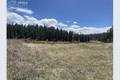 00 Wildhorn Road, Florissant, CO 80816 - Photo 1