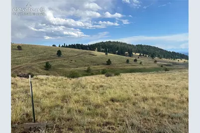 1100 Grumpy Burrow View, Cripple Creek, CO 80863 - Photo 3