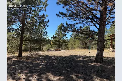 36 Miller Creek Road, Divide, CO 80814 - Photo 15