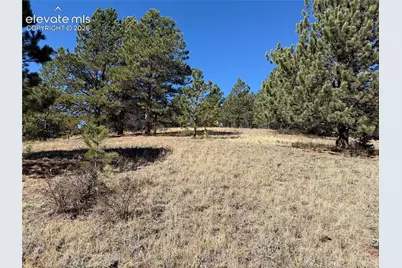 36 Miller Creek Road, Divide, CO 80814 - Photo 19