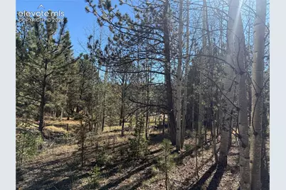 36 Miller Creek Road, Divide, CO 80814 - Photo 23