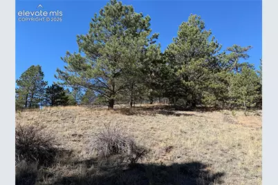 36 Miller Creek Road, Divide, CO 80814 - Photo 21
