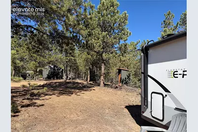 36 Miller Creek Road, Divide, CO 80814 - Photo 13