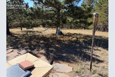 36 Miller Creek Road, Divide, CO 80814 - Photo 5