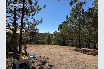 36 Miller Creek Road, Divide, CO 80814 - Photo 7