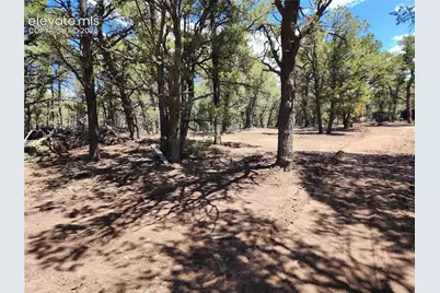 000 8th Trail, Cotopaxi, CO 81223 - Photo 5