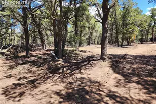 000 8th Trail, Cotopaxi, CO 81223 - Photo 5