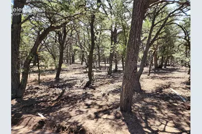 000 8th Trail, Cotopaxi, CO 81223 - Photo 7