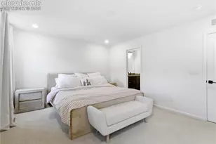 33 Felicity Loop, Castle Rock, CO 80109 - Photo 29