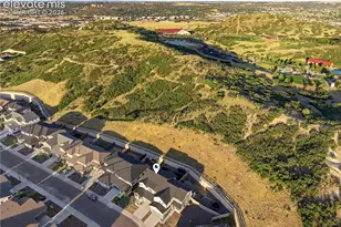 33 Felicity Loop, Castle Rock, CO 80109 - Photo 41