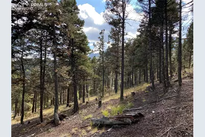 342 Ponderosa View, Manitou Springs, CO 80829 - Photo 15